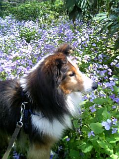 070408_122721_M.jpgのサムネール画像